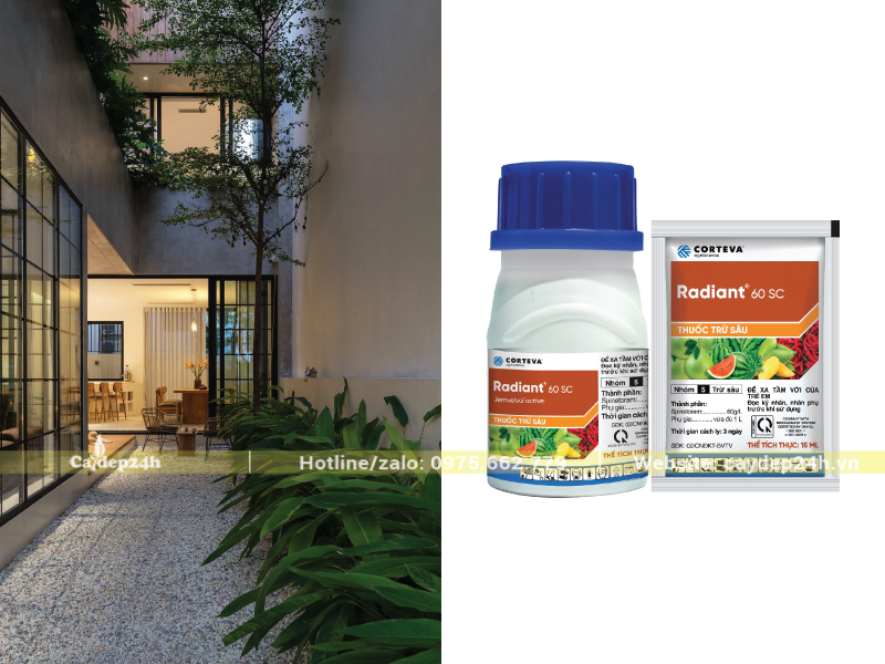 Diệt sâu bệnh bằng thuốc sinh học