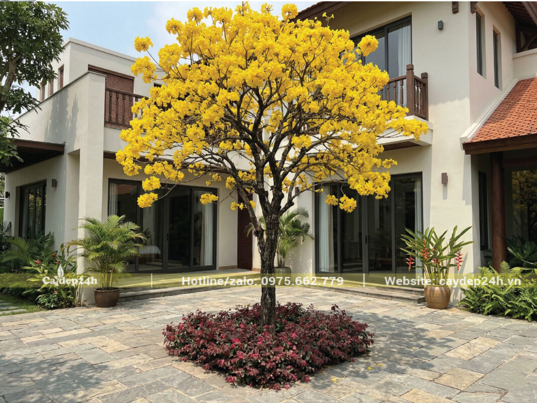 Trồng cây bụi màu đỏ để hài hòa với phong linh cho người mệnh Hỏa