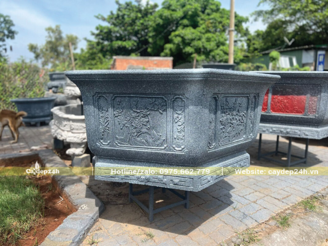 Chậu lớn cho nguồn đất cho cây sinh trưởng nhiều hơn