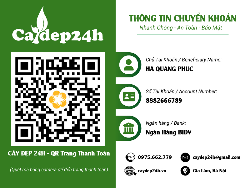 Thông tin tài khoản cá nhân chính thức dùng để giao dịch