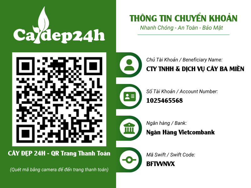 Hình ảnh tài khoản Công ty chính thức