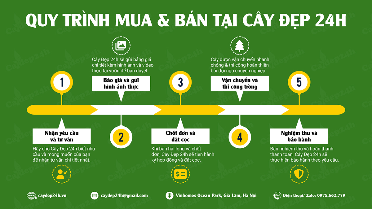 Quy trình mua bán cây xanh tại Cây Đẹp 24h