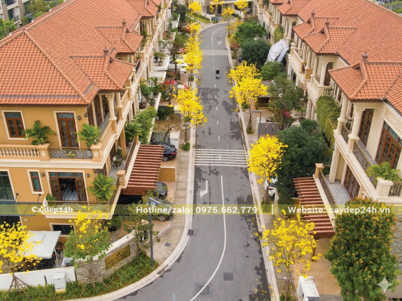 Ảnh minh họa chọn vị trí trồng phong linh phù hợp