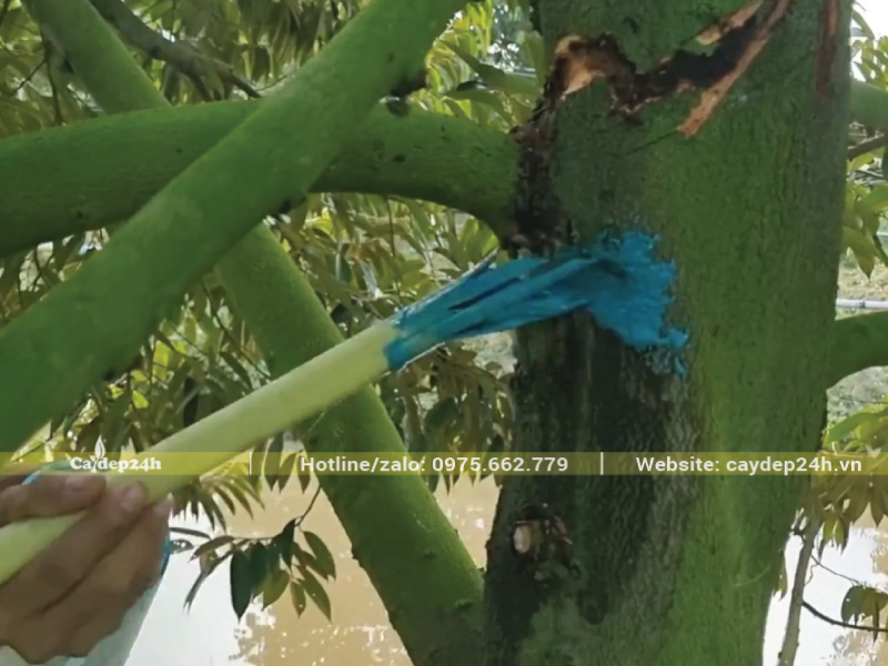 Bịt miệng lỗ lại để thuốc không tràn ra bên ngoài