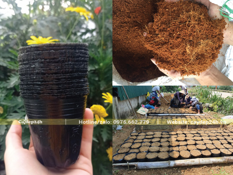 Phối trộn giá thể theo công thức chuẩn từ nhà vườn