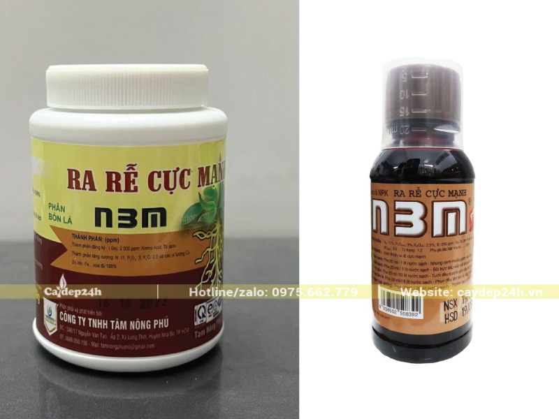 Chú ý pha đúng lượng thuốc kích rễ