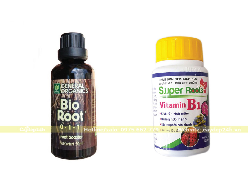 Thuốc kích rễ hữu cơ Bio Root 0-1-1 và Vitamin B1 Super Roots