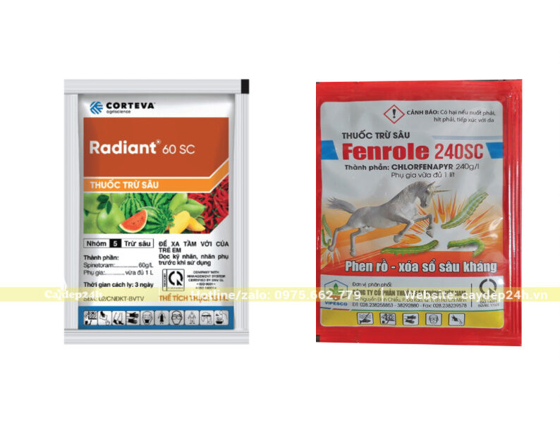 Thuốc trừ sâu sinh học Radiant 60SC và hóa học Fenrole 240SC