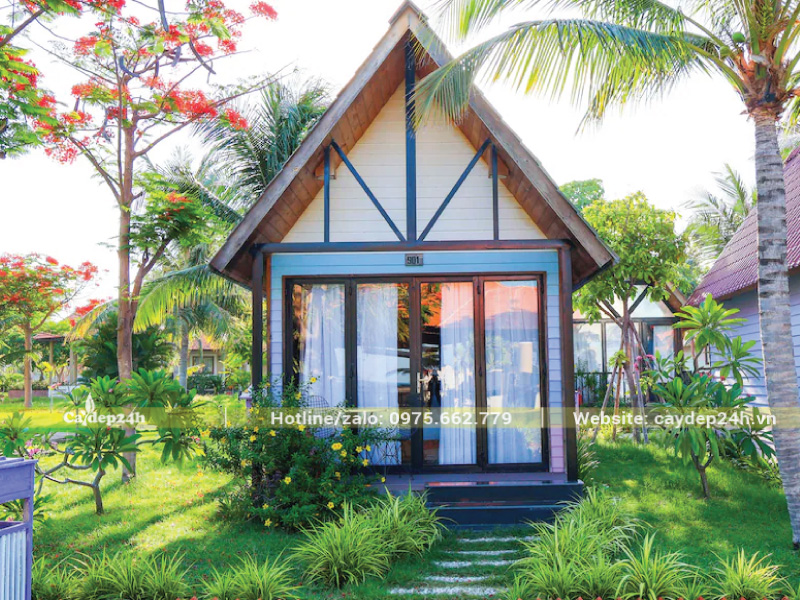 Khu nghỉ dưỡng là địa điểm trồng cây phượng vĩ lý tưởng