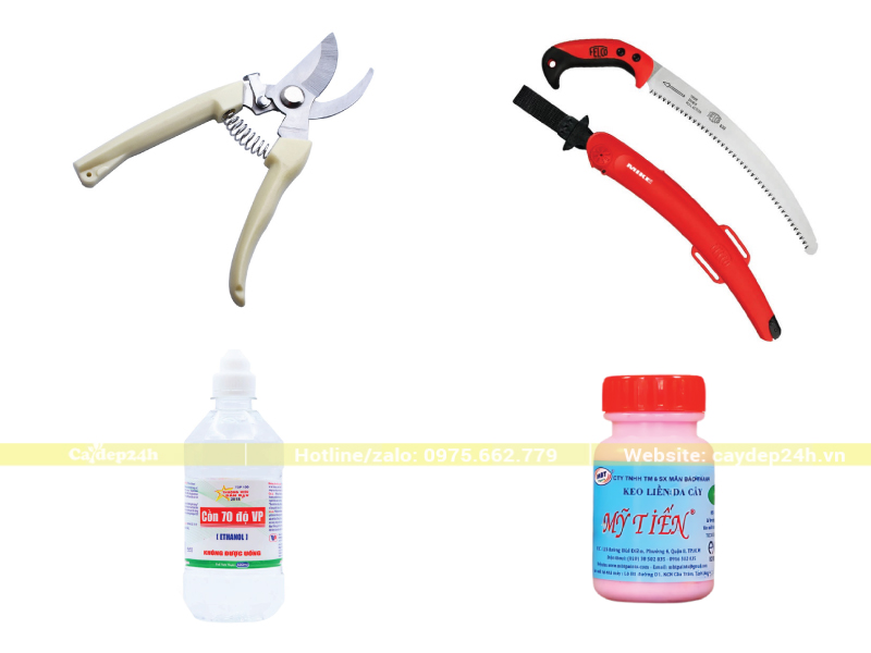Các dụng cụ cần thiết để cắt tỉa tán cây