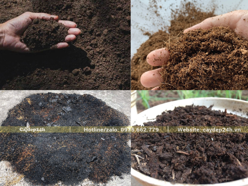 Giá thể được phối trộn đảm bảo độ tơi xốp cao