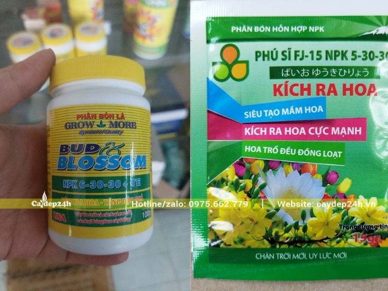 Hai loại phân bón kích hoa phổ biến