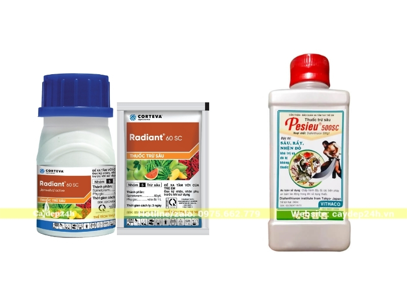 Các loại thuốc đặc trị diệt rệp sáp và nhện đỏ