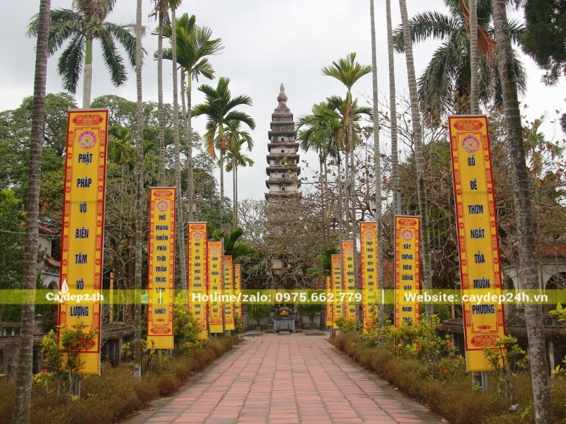 Hai hàng cây cau ta dọc lối vào chùa